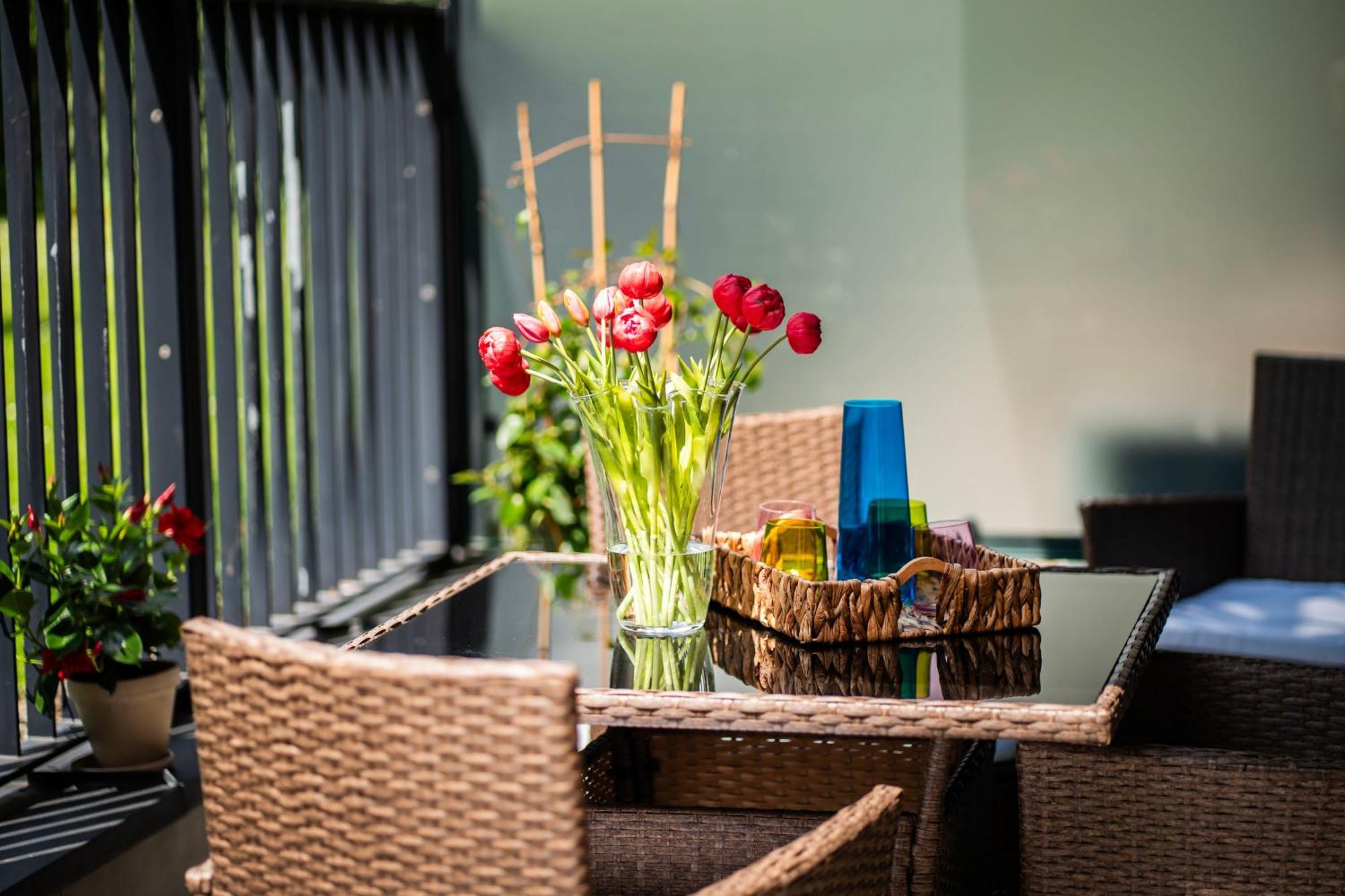 Apartment Rimini Moxy Te&am Cracow Krakow