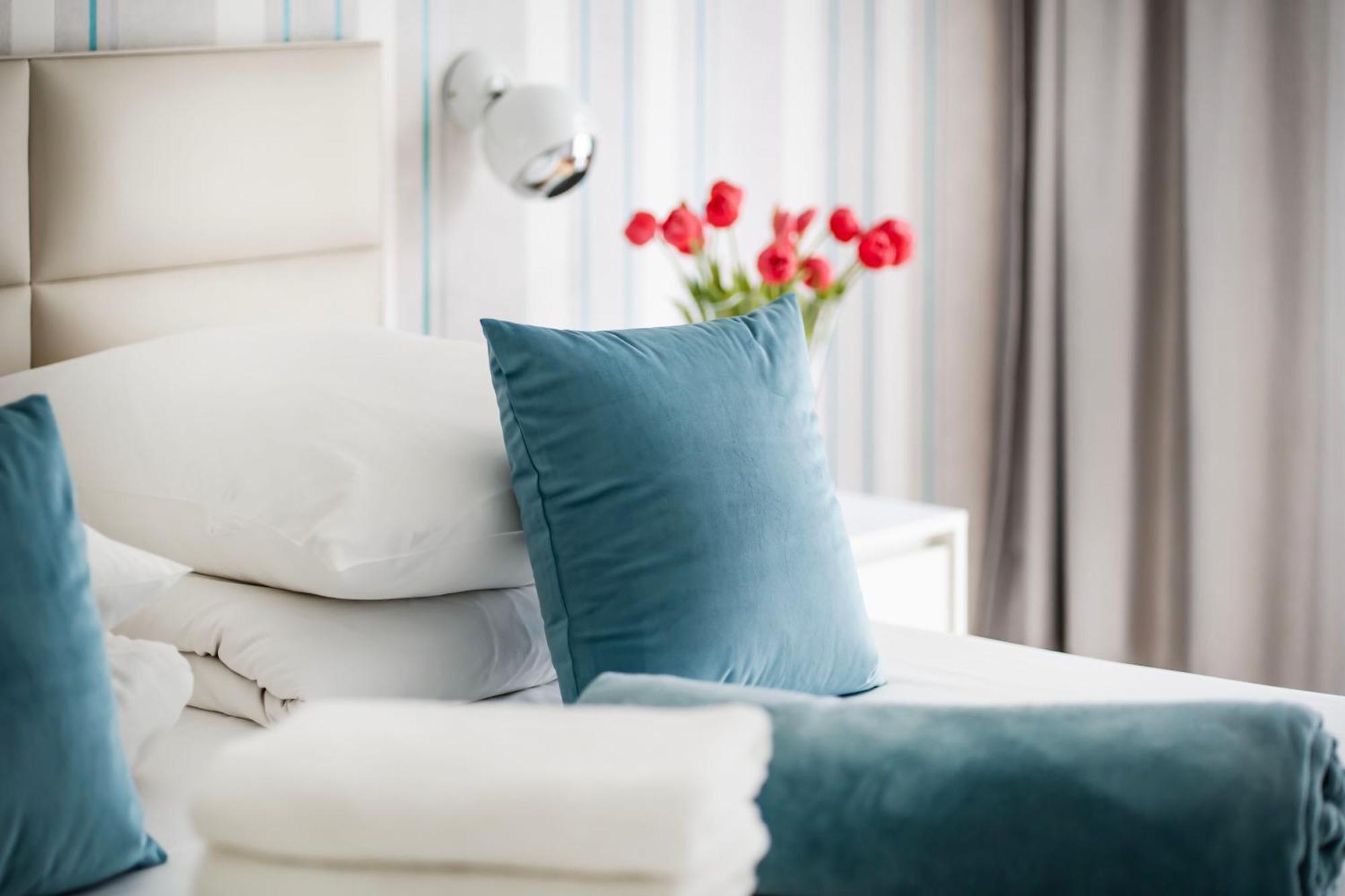 Rimini Moxy Te&am Cracow * Krakow