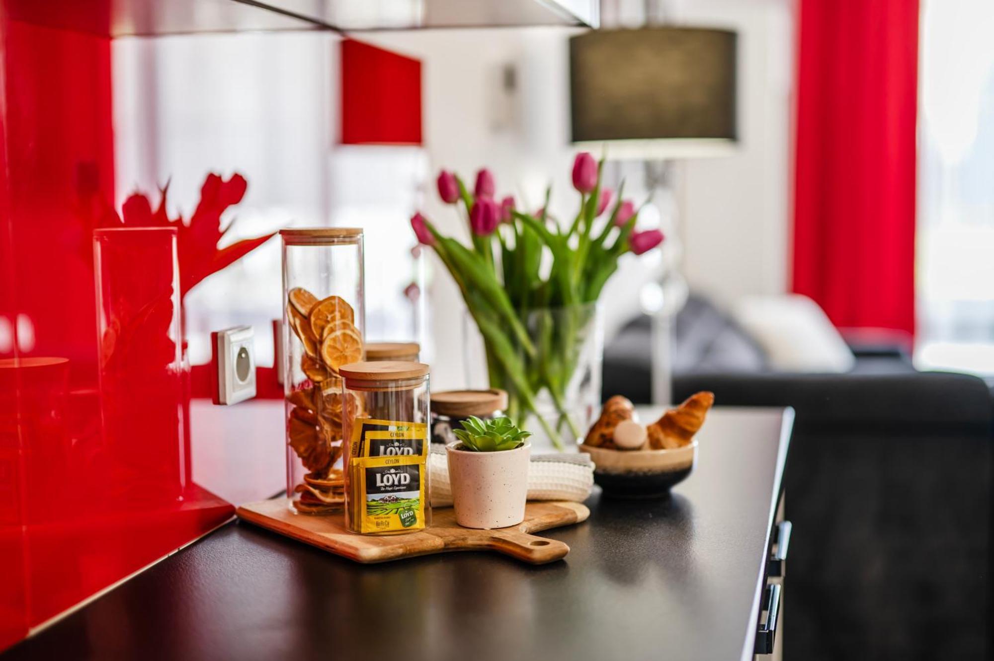 Rimini Moxy Te&am Cracow Cracovia